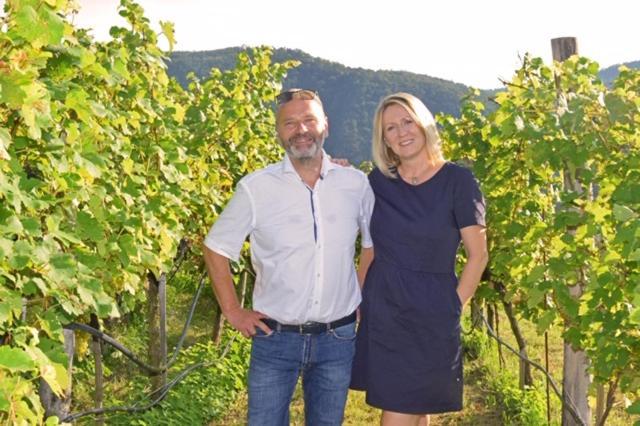 Апартаменти Weingut Baeuerl Дюрнштайн Екстер'єр фото